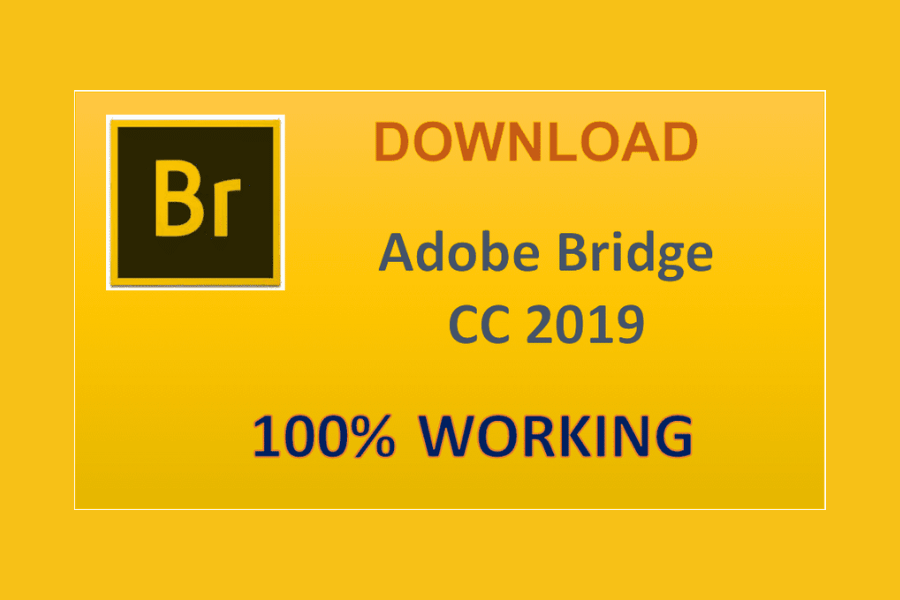 Download Adobe Bridge CC 2019 Full – Quản Lý Dự Án Sáng Tạo Mượt Mà & Hiệu Quả – Tải Nhanh Miễn Phí