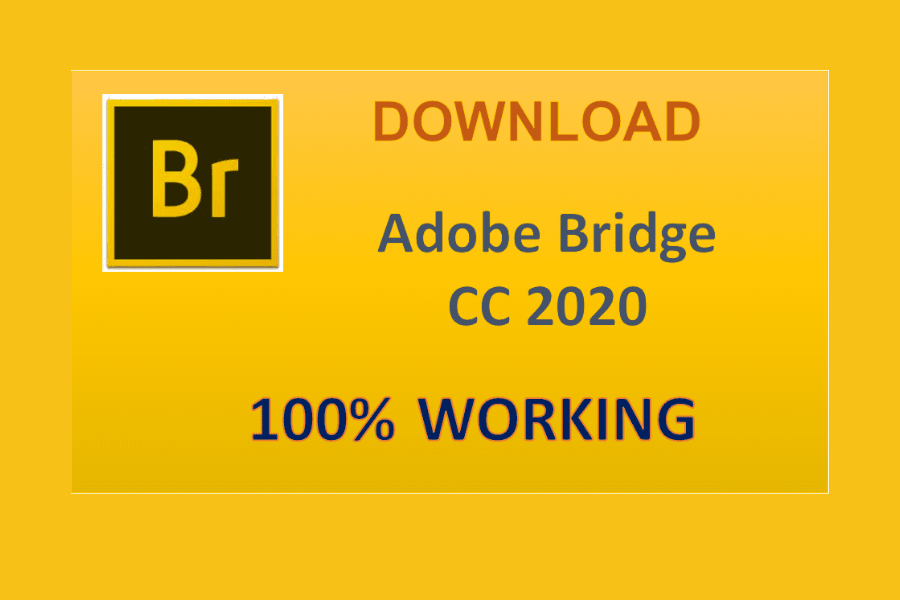 Download Adobe Bridge CC 2020 Full – Trình Quản Lý File Sáng Tạo Chuyên Nghiệp – Tải Nhanh Miễn Phí
