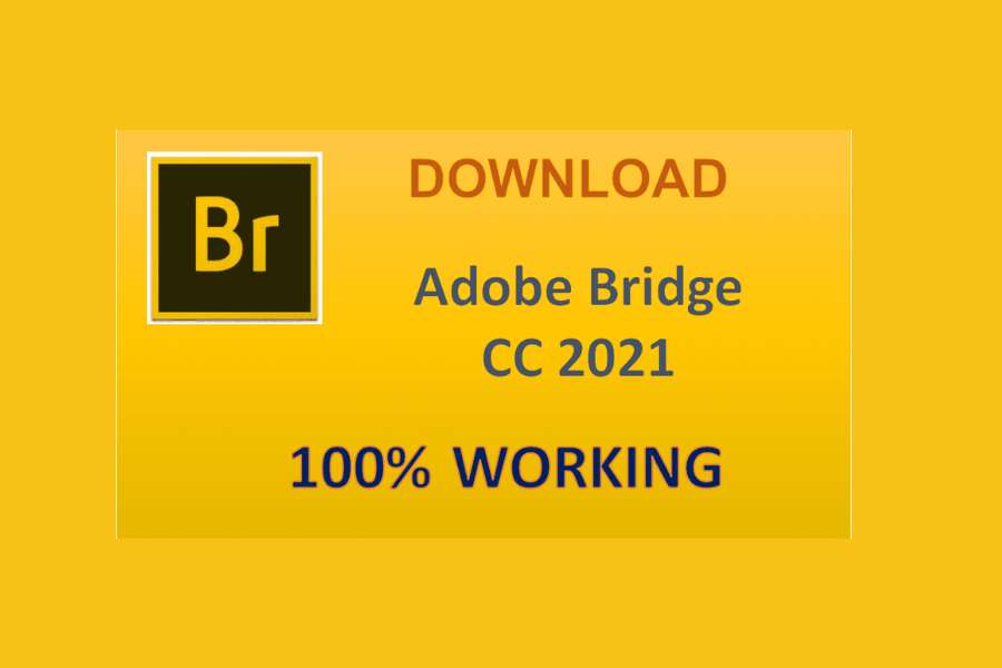 Tải Adobe Bridge CC 2021 Full – Trình Quản Lý Sáng Tạo Mạnh Mẽ Đã Test 100% – Tải Nhanh Miễn Phí
