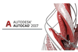 Hướng dẫn tải và cài đặt AutoCAD 2017 Full Crack – Link Drive – Tải Nhanh Miễn Phí